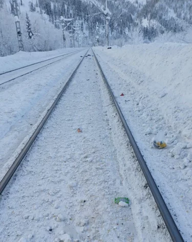 В Кузбассе грузовой поезд насмерть сбил 59-летнего туриста из Москвы