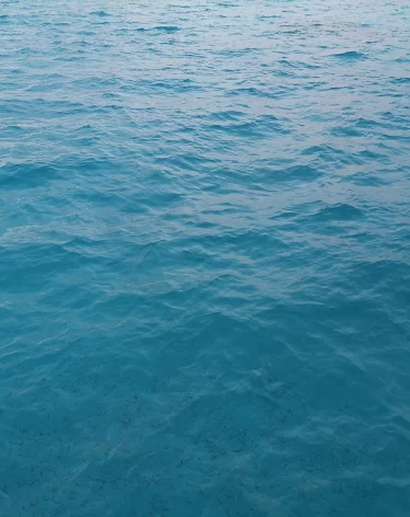 В Египте на россиянина напала мурена  