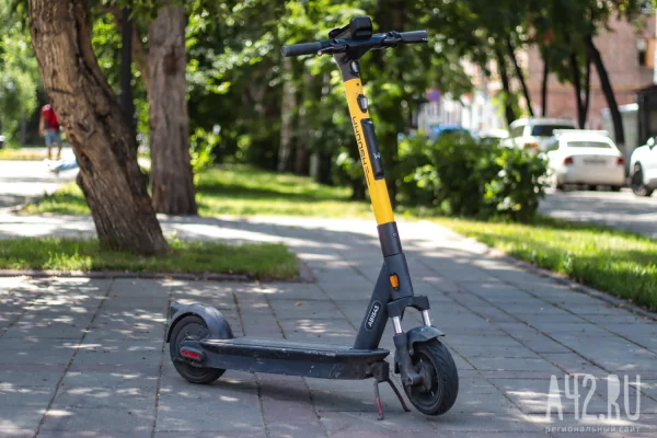 Кузбасские депутаты обсудят наказание за брошенные самокаты