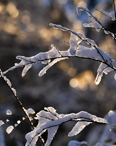 В Якутии ищут пропавшего в 30-градусные морозы охотника