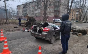 Двое погибли, двое пострадали: следователи рассказали подробности падения дерева на авто в Новокузнецке