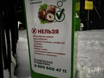 Фото: Власти: в Кемерове установлены аппараты с кормом для уток и для белок 4