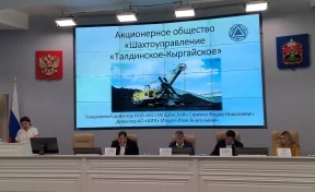 «Проводят в два этапа»: замгубернатора Кузбасса рассказал о планах по рекультивации земель