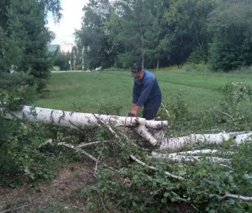Фото: В Кемерове более 220 специалистов ликвидируют последствия урагана  4