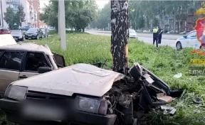 В Кузбассе ночью автомобиль влетел в дерево: два человека погибли