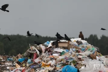 Фото: В Кузбассе на плодородном участке земли нашли мусорную гору 1