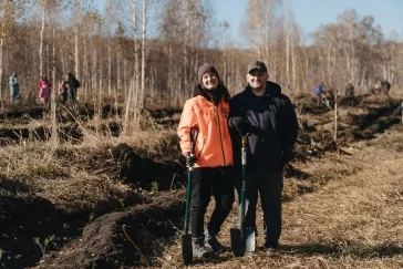 Фото: 10 000 новых деревьев в Новокузнецке: как прошёл масштабный экопраздник от Goodline 18