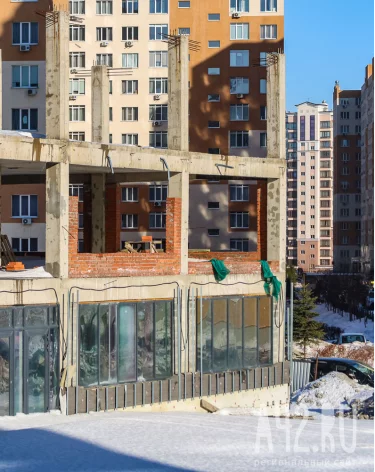 Фото: Александр Денисов