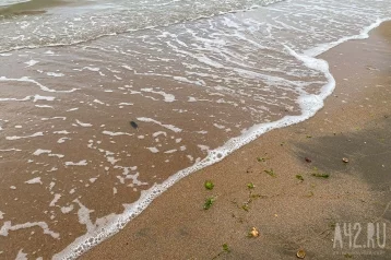 Фото: На закрытых пляжах Анапы сохраняется загрязнение воды и грунта 1