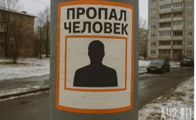 В Кузбассе неделю назад без вести пропала 63-летняя женщина  