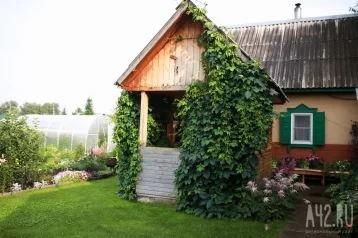 Фото: С 1 марта кузбассовцы не смогут продать и подарить земельный участок без данных ЕГРН 1