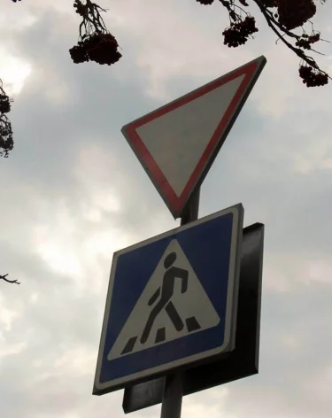 «Пешеходы набивают шишки»: кузбассовец пожаловался на низкий дорожный знак
