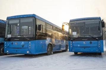 Фото: Кузбасс получил новые автобусы стоимостью 260 млн рублей 1