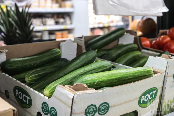 Огурцы дороже бананов: Кемеровостат рассказал, как изменились цены на продукты за неделю 