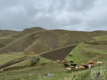 Фото: Не только горы: зачем ехать в Дагестан и что там посмотреть 11
