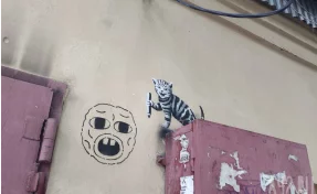 В Кузбассе ввели штрафы за неочищенные вовремя граффити и грязь из-за машин