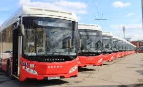 Транспортная реформа в Перми: как Новокузнецку не наступить на те же грабли