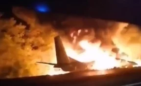 Опубликовано видео с места крушения Ан-26 под Харьковом