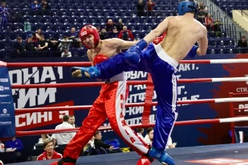 Фото: В Кемерове стартовал чемпионат России по кикбоксингу 2