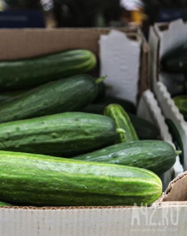 Фото: А42.RU, инфографика: Кемеровостат