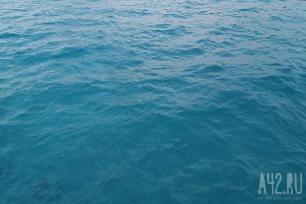 В Египте на россиянина напала мурена  