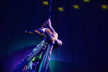 Фото: Настоящая экзотика: в цирке состоялась премьера уникального шоу «Дикая планета» 10