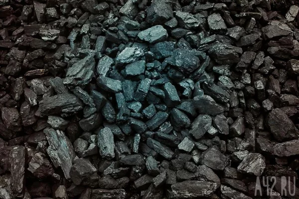 Кузбассовцы получили более 17 000 тонн благотворительного угля