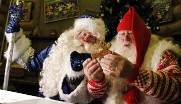 Фото: В Совфеде предостерегли от трансформации Дедов Морозов в Санта Клаусы 1