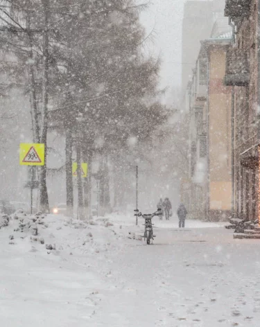 Фото: А42.RU