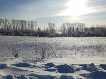 Фото: В Кузбассе Россельхознадзор обязал владельцев вернуть в оборот брошенные земли 1