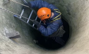 В Новокузнецке спасатели достали собаку из 12-метрового колодца