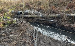 В Кузбассе угольная компания сбрасывала сточные воды на сельхозземли: сумма ущерба составила 15 млн рублей