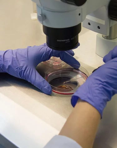 В Новой Москве семья нашла в малосольной рыбе шарики ртути