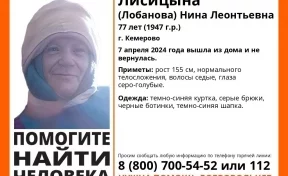 В Кемерове бесследно пропала 77-летняя женщина, волонтёры начали поиск