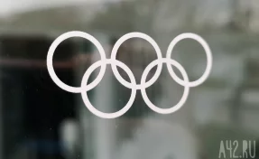 На Олимпийских играх на трассу во время лыжной гонки выбежала собака