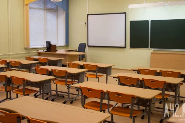 В Челябинской области школу перевели на дистант из-за вспышки кишечной инфекции