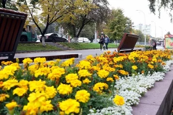 Фото: В Кемерове обновили мини-скверы на проспекте Ленина 1