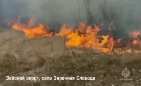 Режим ЧС введён из-за пожаров на территории муниципалитета в Амурской области
