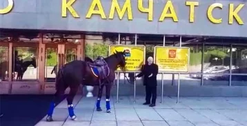 Фото: На Камчатке депутат прискакал на сессию на коне из-за цен на бензин 1