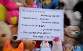 Глава МЧС потребовал проконтролировать выплаты семьям погибших и пострадавших в пожаре в Кемерове