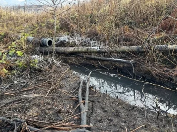 Фото: В Кузбассе угольная компания сбрасывала сточные воды на сельхозземли: сумма ущерба составила 15 млн рублей 1