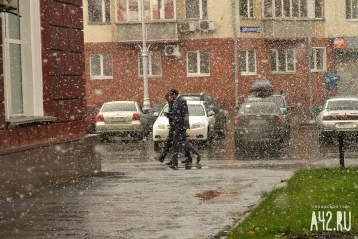 Фото: Синоптики прокомментировали выпадение снега в Кемерове 1