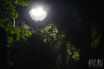 Фото: В Кемерове вандалы вырвали фонарь в парке 1