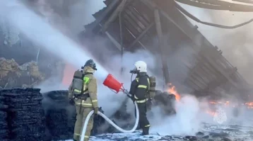 Фото: В Рязани на предприятии загорелся битум, площадь пожара — 700 квадратных метров 1