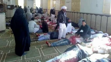 Фото: Количество жертв теракта в Египте составило не менее 235 человек 1