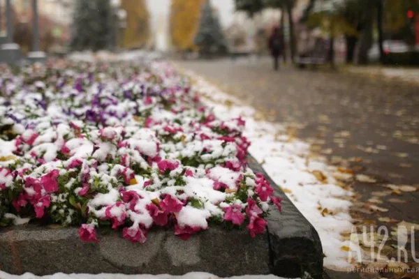 Вильфанд: 60% территории РФ уже покрыто снегом