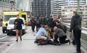 Лондонская полиция квалифицировала ЧП у парламента как теракт