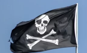 Пираты взяли в заложники трёх россиян у берегов Камеруна