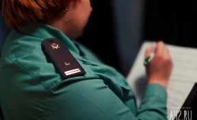 В Кузбассе мать задолжала 500 тысяч рублей алиментов своей дочери