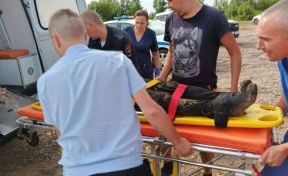 В Кузбассе упавшего с горы мужчину сплавляли по реке, чтобы передать медикам